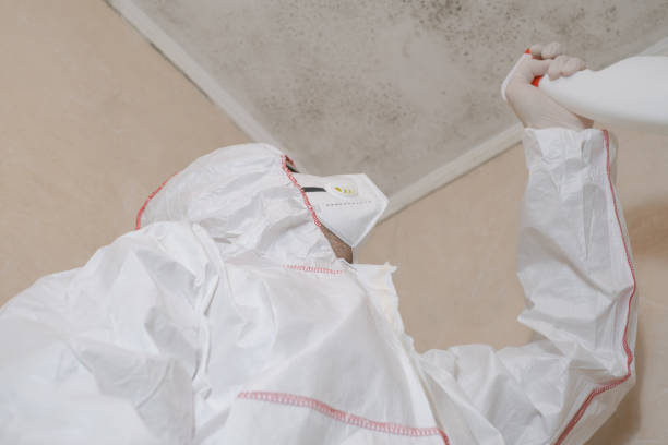 Best Commercial Mold Remediation in Opelousas, LA