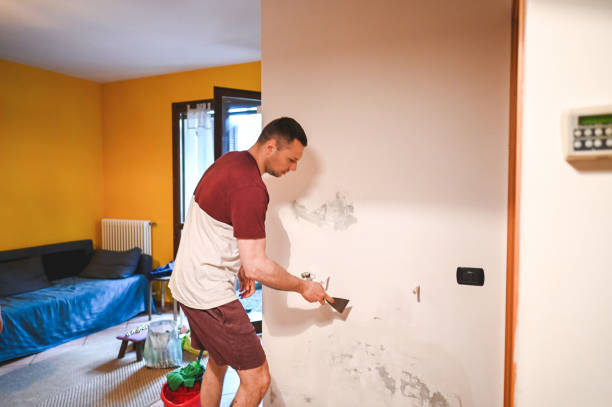 Best Localized Mold Remediation (e.g., coastal areas, humid climates) in Opelousas, LA